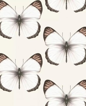 Обои с бабочками, насекомыми Cheradi 54401-2 изображение 0