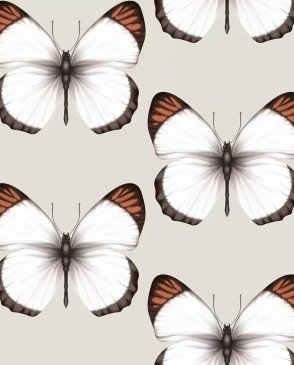 Обои с бабочками, насекомыми Cheradi 54401-3 изображение 0