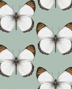 Обои с бабочками, насекомыми Cheradi 54401-4 изображение 0