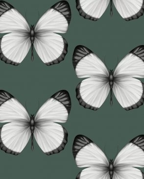 Обои с бабочками, насекомыми Cheradi 54401-5 изображение 0
