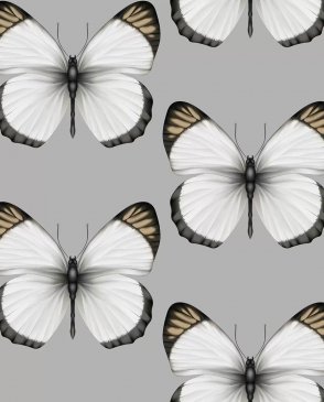 Обои с бабочками, насекомыми Cheradi 54401-6 изображение 0