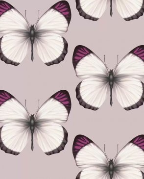 Обои с бабочками, насекомыми Cheradi 54401-7 изображение 0