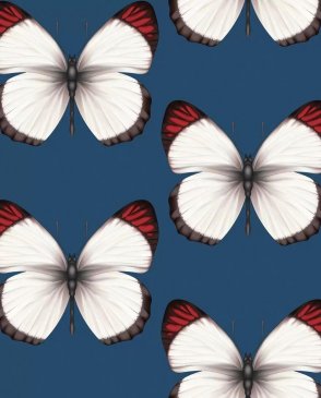 Обои с бабочками, насекомыми Cheradi 54401-8 изображение 0