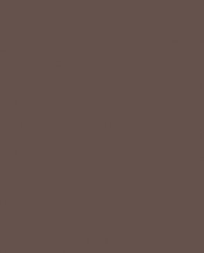 Обои коричневые Полинезия AM9-010 изображение 0