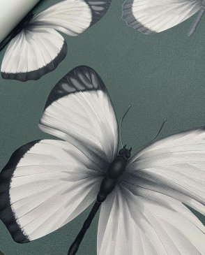 Обои с бабочками, насекомыми Cheradi 54401-5 изображение 1